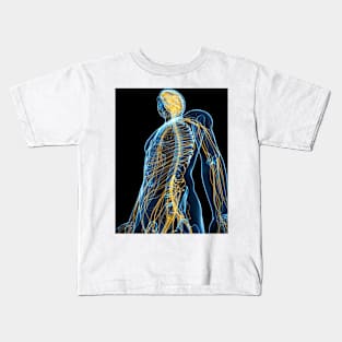 Human nervous system, artwork (F004/1384) Kids T-Shirt